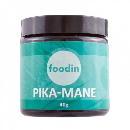 FOODIN Pika-Mane 40 g