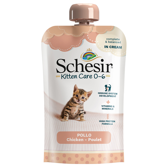 Schesir Kitten in Cream 6 x 150 g - kana