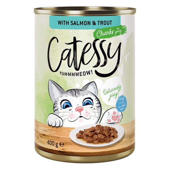 Catessy kastikkeella -säästöpakkaus 12 x 400 g - lohi & taimen