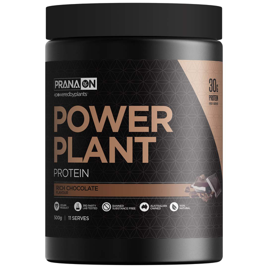 Pranaon Power Plant Protein 500 G Rich Chocolate