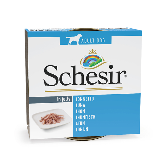 Schesir-säästöpakkaus 24 x 150 g - tonnikala