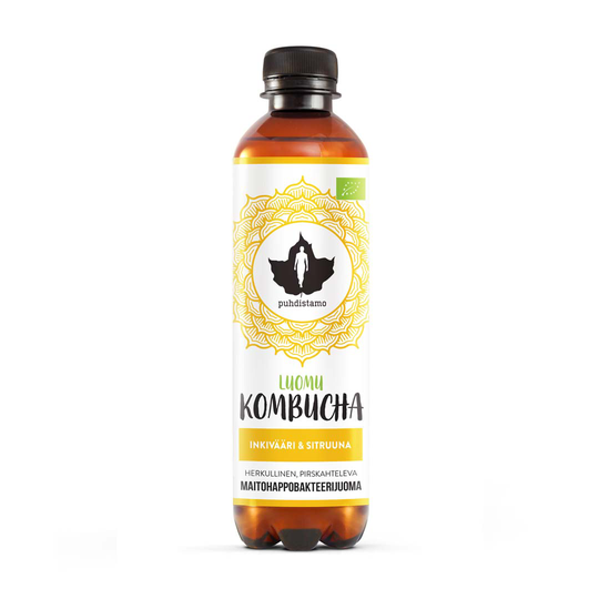 Puhdistamo Luomu Kombucha 370ml Inkivääri & Sitruuna