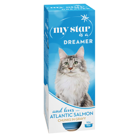 My Star -kokeilupakkaus 10 x 90 g - Dreamer-kastike - Atlantin lohi
