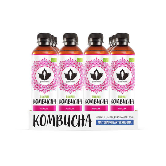 12 X Puhdistamo Luomu Kombucha 370ml